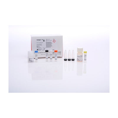 52858. ENSAYO CLICK-IT PLUS TUNEL P/DETECCION DE APOPTOSIS IN SITU, COLORANTE ALEXA FLUOR 488 - MOLECULAR PROBES