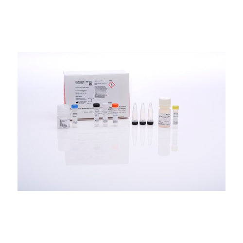 52858. ENSAYO CLICK-IT PLUS TUNEL P/DETECCION DE APOPTOSIS IN SITU, COLORANTE ALEXA FLUOR 488 - MOLECULAR PROBES