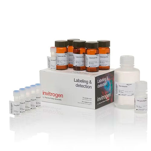 28672. KIT DE ENSAYO DE CITOTOXICIDAD LDH Y CYQUANT 1000 ASSAYS INVITROGEN