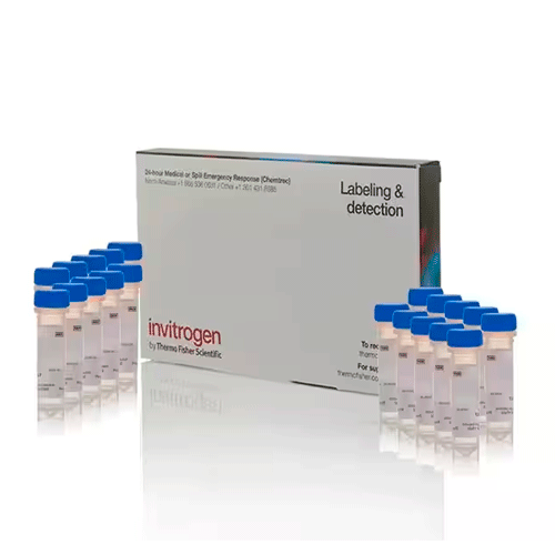 27551. CM-H2DCFDA (INDICADOR DE ESTRES OXIDATIVO GENERAL) 20 X 50UG INVITROGEN