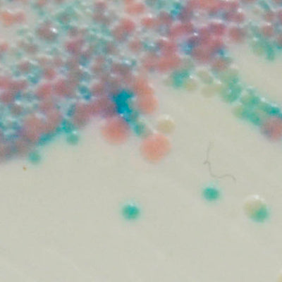 29696. STAPHYLOCOCCUS 5000ML CHROMAGAR