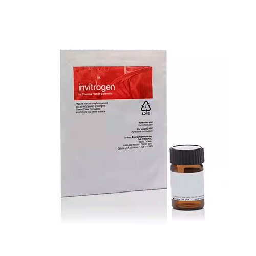 27364. DIHIDROETIDIO (HIDROETIDINA) 25MG INVITROGEN