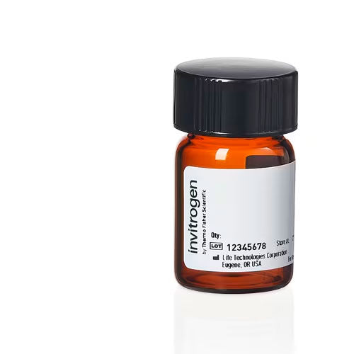 29619. BODIPY 530/550 ESTER NHS (ESTER DE SUCCINIMIDILICO) 5MG INVITROGEN