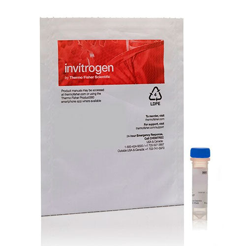 31058. BODIPY 581/591 C11 (SENSOR DE PEROXIDACION DE LIPIDOS) 1MG INVITROGEN