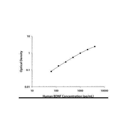 29577. HUMAN BDNF QUANTIKINE ELISA KIT R&D SYSTEMS