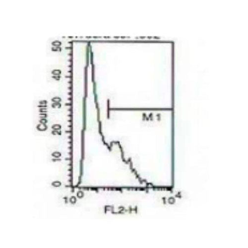 28181. IGSF6/DORA ANTIBODY (104A10.01) 0.1MG NOVUS BIOLOGICALS