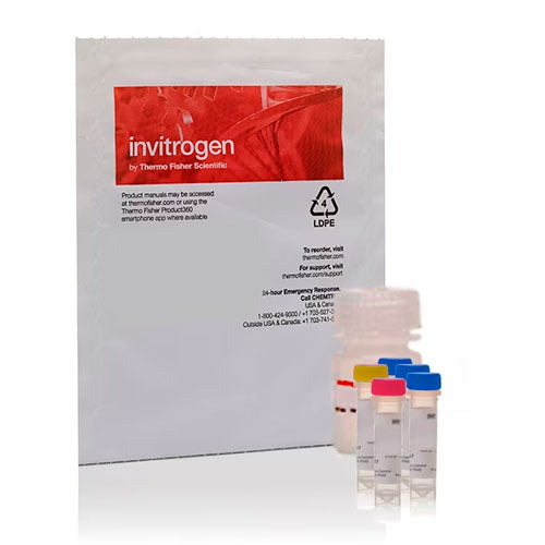 29627. KIT DE ENSAYO DE ELASTASA ENZCHEK 600 ENSAYOS INVITROGEN