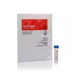 27363. SUSTRATO DE LIPASA ENZCHEK VERDE FLUORESCENTE 505/515, 100UG  INVITROGEN