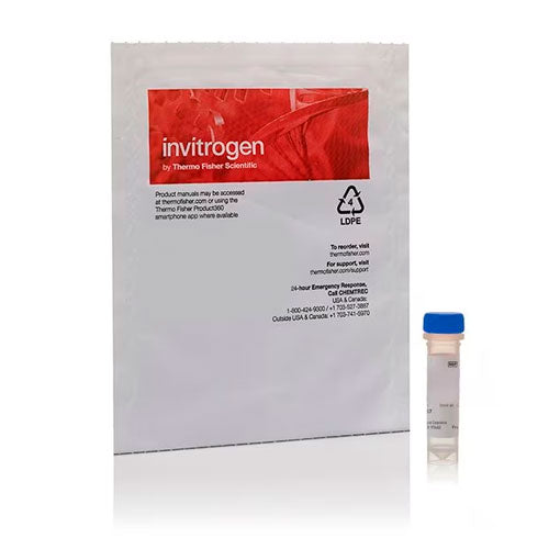 28683. ER-TRACKER RED (BODIPY TR GLIBENCLAMIDE) FOR LIVE CELL IMAGING 100UG INVITROGEN