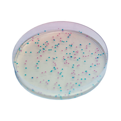 50449. E. COLI P/DETECCION Y ENUMERACION 5000ML - CHROMAGAR