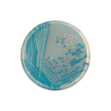 54276. CHROMAGAR O157 P/AISLAMIENTO SELECTIVO Y LA DIFERENCIACION DE E. COLI P/5LT CHROMAGAR