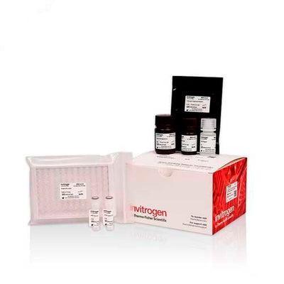 50457. TOTAL ANTIOXIDANT CAPACITY (T-AOC) COLORIMETRIC  ASSAY KIT (ABTS, ENZYME METHOD) - INVITROGEN
