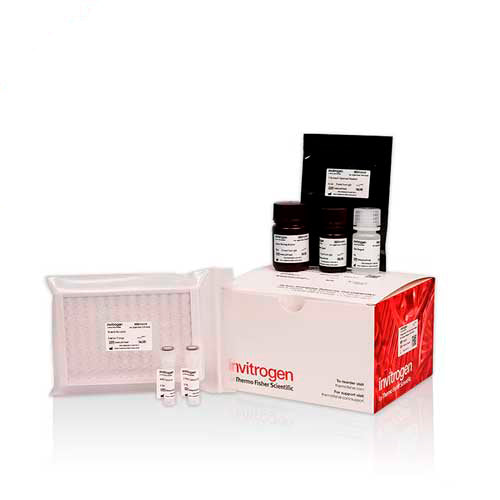 50457. TOTAL ANTIOXIDANT CAPACITY (T-AOC) COLORIMETRIC  ASSAY KIT (ABTS, ENZYME METHOD) - INVITROGEN