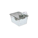 31398. CAJA DE POLICARBONATO P/ANIMALES, 16 3/4 X 10 1/2 X 7 1/16PULG, AUTOCLAVABLE SIN TAPA C/5 DAIGGER