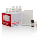 29311. KIT DE DETECCION DE FLUORESCENCIA DE TIOL 96 PRUEBAS INVITROGEN