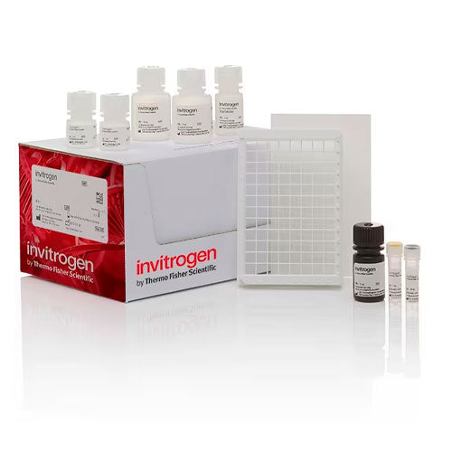 29311. KIT DE DETECCION DE FLUORESCENCIA DE TIOL 96 PRUEBAS INVITROGEN