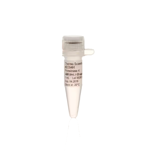 27618. PROTEINASA K RECOMBINANTE GRADO PCR 1ML THERMO SCIENTIFIC