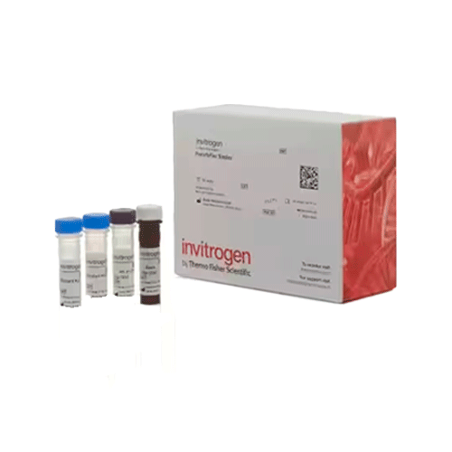 27373. NTPROBNP HUMAN PROCARTAPLEX SIMPLEX KIT 96 TESTS INVITROGEN