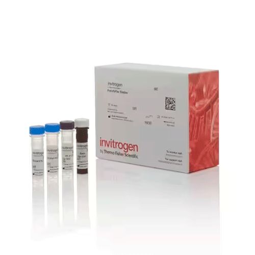 27578. TROPONINA I (TNI) HUMANA PROCARTAPLEX SIMPLEX KIT 96 TESTS INVITROGEN