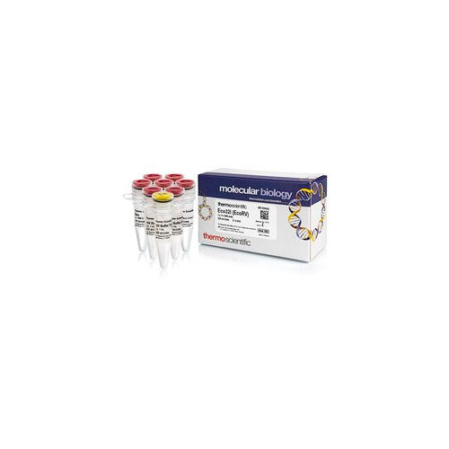 51912. ENZIMA DE RESTRICCION ECO32I (ECORV) (10U/UL) 5 X 2000U - THERMO SCIENTIFIC