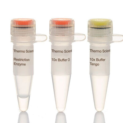 51790. ENZIMA DE RESTRICCION ECO91I (BSTEII) (10U/UL) 5000U - THERMO SCIENTIFIC