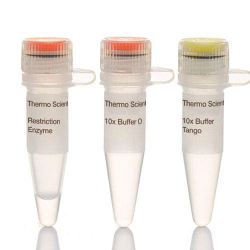 51790. ENZIMA DE RESTRICCION ECO91I (BSTEII) (10U/UL) 5000U - THERMO SCIENTIFIC