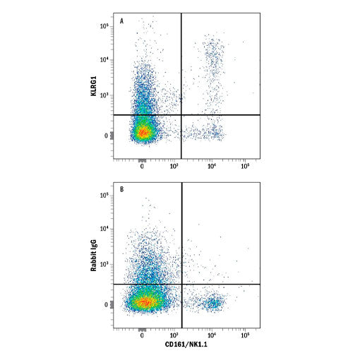 29559. RABBIT IGG PE-CONJUGATED ANTIBODY 100 TESTS, R&D SYSTEMS