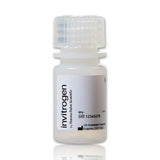 51196. MICROESFERAS MODIFICADAS C/AMINA FLUOSPHERES 1.0UM FLUORESCENTE VERDE AMARILLENTO 505/515 2% DE SOLIDOS 5ML - INVITROGEN