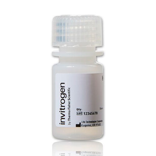 51196. MICROESFERAS MODIFICADAS C/AMINA FLUOSPHERES 1.0UM FLUORESCENTE VERDE AMARILLENTO 505/515 2% DE SOLIDOS 5ML - INVITROGEN