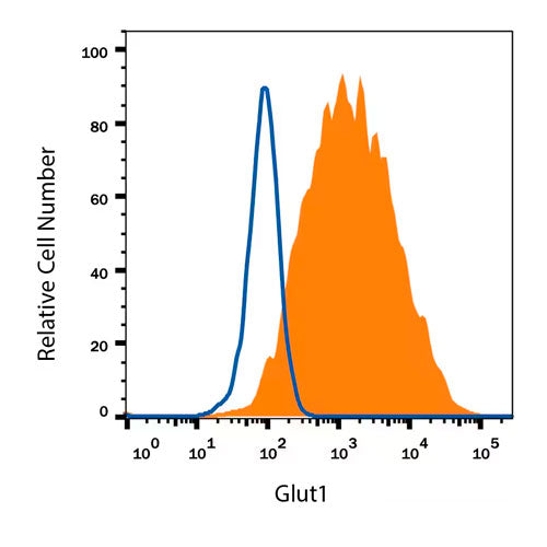 28203. HUMAN GLUT1 ALEXA FLUOR 488-CONJUGATED ANTIBODY 100UG R&D SYSTEMS