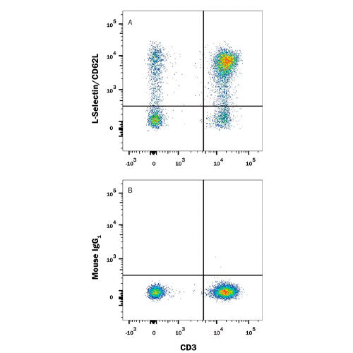 30013. HUMAN L-SELECTIN/CD62L ALEXA FLUOR 488-CONJUGATED ANTIBODY 100 TESTS R&D SYSTEMS