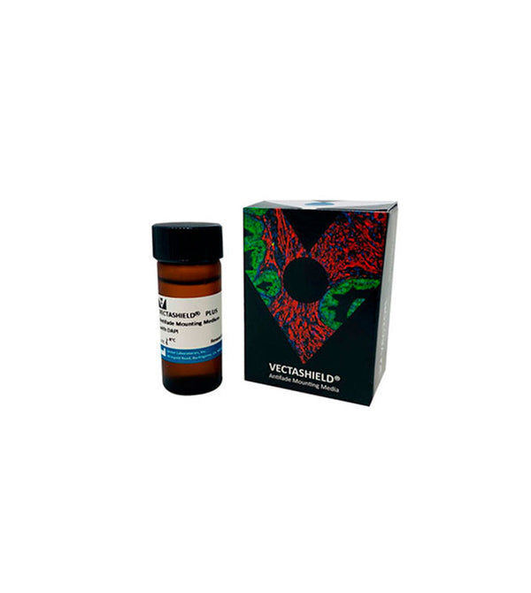 5264. VECTASHIELD PLUS ANTIFADE MOUNTING MEDIUM WITH DAPI 10ML - VECTOR