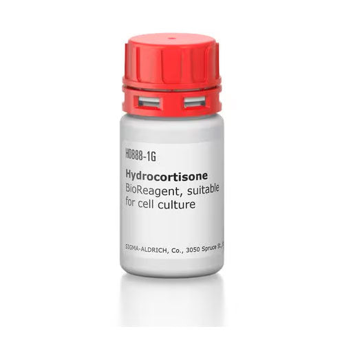 52429. HIDROCORTISONA BIOREACTIVO P/CULTIVO CELULAR 1GR - SIGMA-ALDRICH