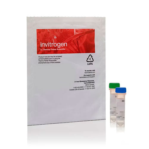 29304. TINCION AZUL HCS CELLMASK SET INVITROGEN