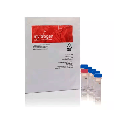 27559. KIT DE DETECCION DE ESPECIES DE OXIGENO REACTIVO P/MICROSCOPIA IMAGE-IT LIVE GREEN INVITROGEN