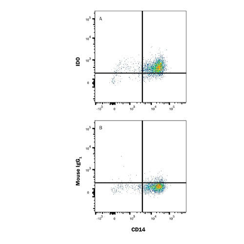 29563. HUMAN IDOLEAMINE 2,3-DIOXYGENSE/IDO PE CONJUGATE ANTIBODY 100 TESTS R&D SYSTEMS