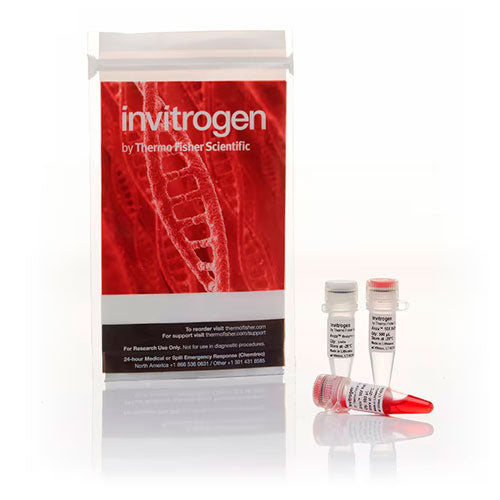 31044. ANZA 10 DPNI 800U INVITROGEN
