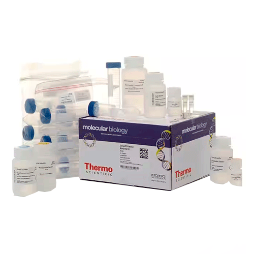 27612. KIT DE MAXIPREPARACION DE PLASMIDOS GENEJET 10 PREPS THERMO SCIENTIFIC