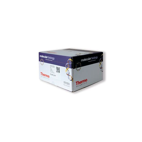 51687. KIT DE PURIFICACION ARN VEGETAL GENEJET 50 PREPS - THERMO SCIENTIFIC