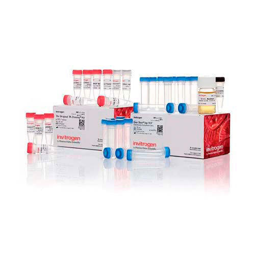 53737. KIT TA CLONING  C/VECTOR PCR 2.1 VECTOR Y E.COLI QUIMICAMENTE COMPETENTE ONE SHOT TOP10F 20 REACCIONES - INVITROGEN