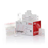 31118. KIT DE MINIPREPARACION DE PLASMIDOS PURELINK HIPURE 25 PREPARACIONES INVITROGEN