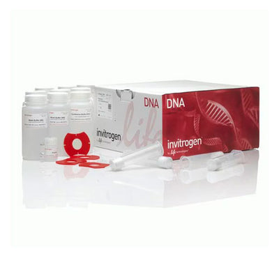 31119. KIT MIDIPREP DE PLASMIDOS HIPURE PURELINK 25 PREPARACIONES INVITROGEN