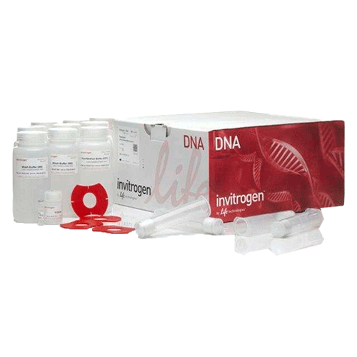 27562. KIT MAXIPREP DE PLASMIDOS HIPURE PURELINK 25 PREPARACIONES INVITROGEN