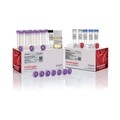 27558. KIT DE CLONACION PCR ZERO BLUNT TOPO C/CELULAS DE E. COLI QUIMICAMENTE COMPETENTES ONE SHOT TOP10 25 REACCIONES INVITROGEN