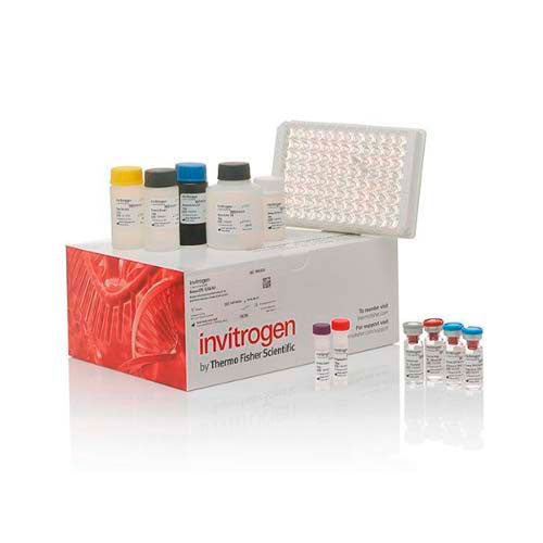 21268. IL-6 HUMAN ELISA KIT 96 TESTS - INVITROGEN