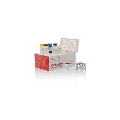 50458. HUMAN TNF ALPHA ELISA KIT 5 X 96 TESTS - INVITROGEN