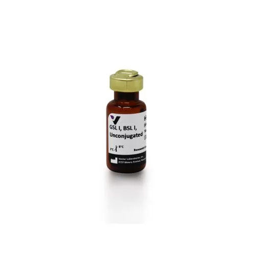 51957. GRIFFONIA (BANDEIRAEA) SIMPLICIFOLIA LECTIN I (GSL I, BSL I) UNCONJUGATED 5MG - VECTOR