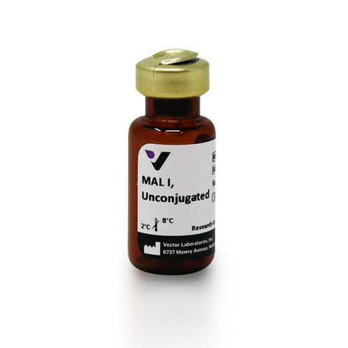 28764. MAACKIA AMURENSIS LECTIN I (MAL I) UNCONJUGATED 5MG VECTOR