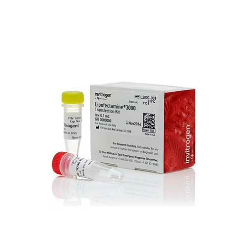 3819. REACTIVO PARA TRANSFECCION LIPOFECTAMINE 3000 1.5ML - INVITROGEN