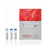 29628. KIT DE VIABILIDAD LIVE/DEAD FIXABLE OLIVE (557) 488NM 80 ENSAYOS THERMO SCIENTIFIC